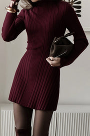 Solid Color Long-sleeved Slim-fit Elegant Knitted Mini Dress