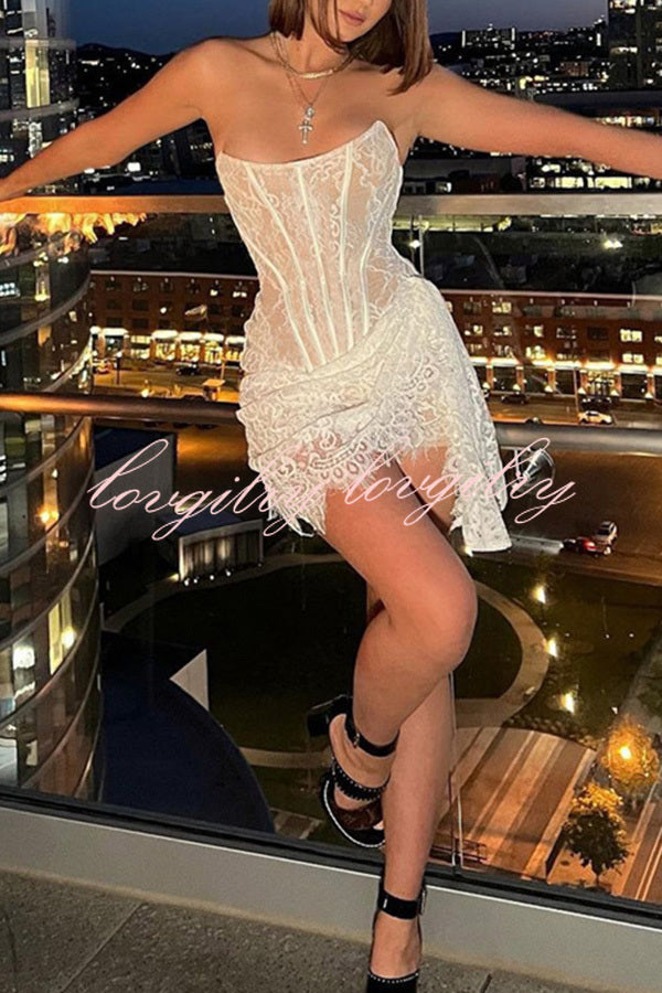 Amazing Lace Mesh Off Shoulder Slightly See Through Slim Fit Mini Dress