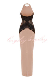 Sexy Halterneck Lace Paneled Backless Slim Maxi Dress