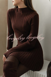 Solid Color Long-sleeved Slim-fit Elegant Knitted Mini Dress