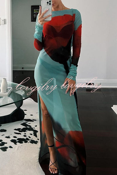 Mesh Floral Print Round Neck Long Sleeve Stretch Maxi Dress