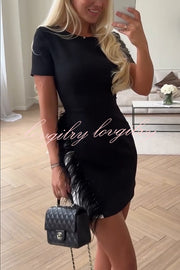 Marcelle Feather Trim Short Sleeve Color-block Him Mini Dress