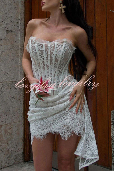 Amazing Lace Mesh Off Shoulder Slightly See Through Slim Fit Mini Dress