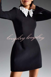 Alisha Contrast Floral Appliqué Pointed Collar Long Sleeve Pocketed Mini Dress