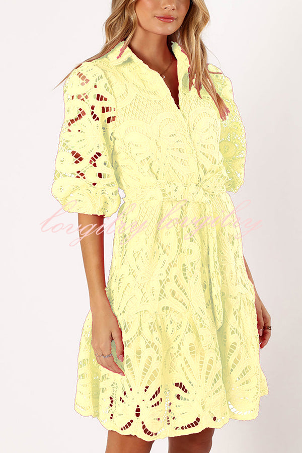 Solid Color Lace Cutout Balloon Sleeves and Waist Tie Mini Dress