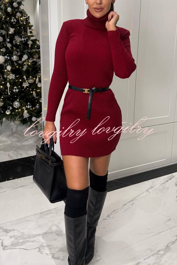 Chilly Morning Ribbed Knit Turtleneck Long Sleeve Mini Dress