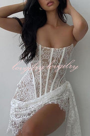 Amazing Lace Mesh Off Shoulder Slightly See Through Slim Fit Mini Dress