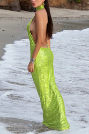 Sexy Sleeveless Backless Sequined Fitted Maxi Dress