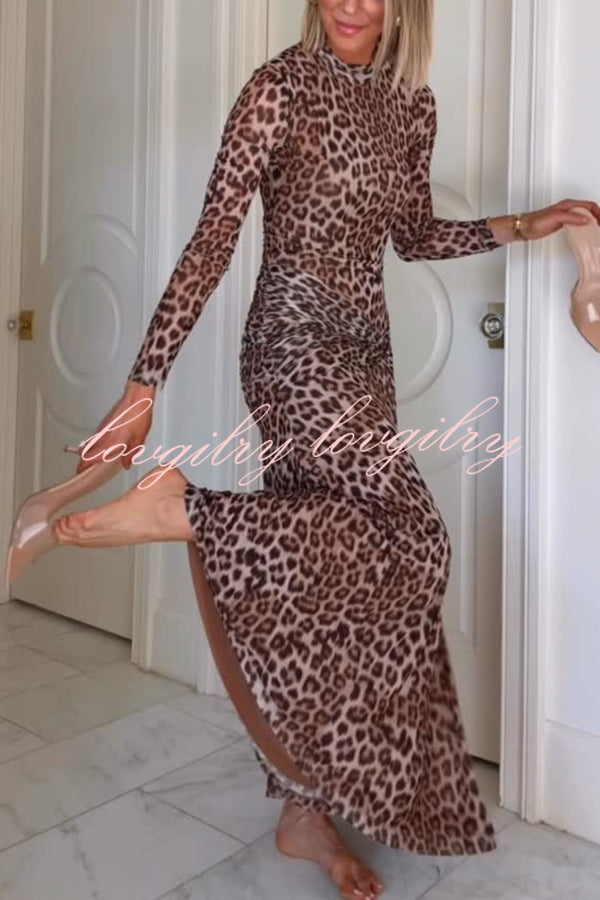 Revina Mesh Leopard Print Mock Neck Gathered Waist Long Sleeve Stretch Midi Dress