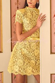 Champagne Toast Flower Lace Short Sleeve Bow Belted Mini Dress