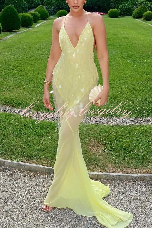 Perfect Night Sequin Embroidery Backless Drape Tulle Hem Slip Maxi Dress