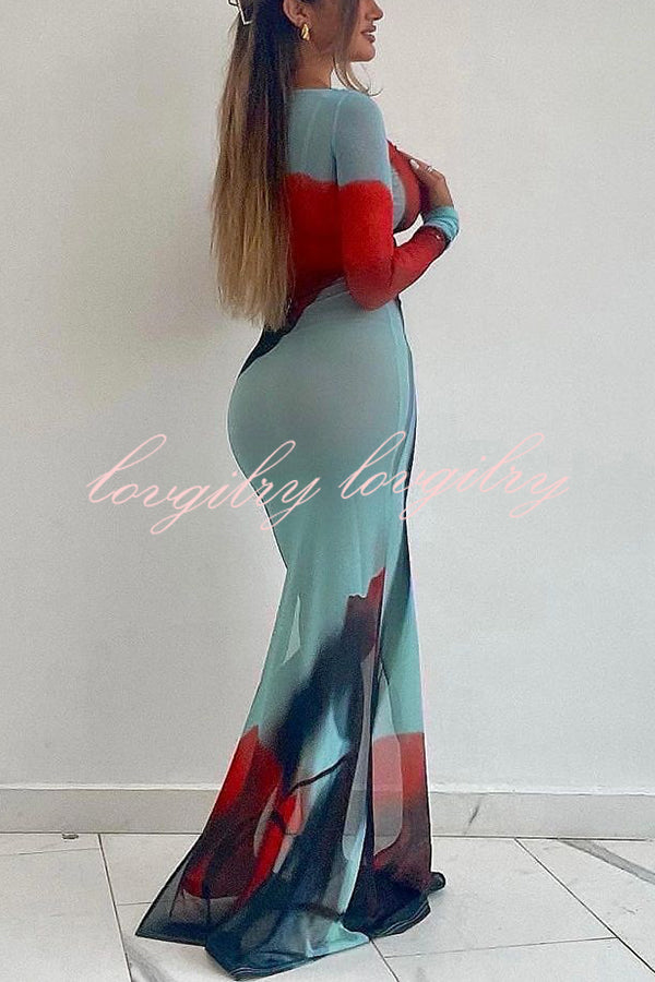 Mesh Floral Print Round Neck Long Sleeve Stretch Maxi Dress