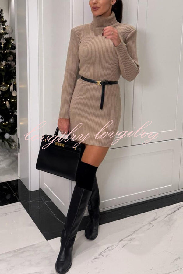 Chilly Morning Ribbed Knit Turtleneck Long Sleeve Mini Dress