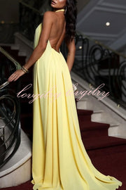 Sunny Horizon Chiffon Flower Feather Pendant Halter Backless Maxi Dress