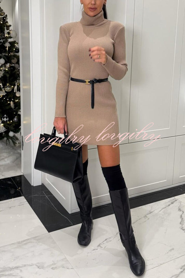 Chilly Morning Ribbed Knit Turtleneck Long Sleeve Mini Dress